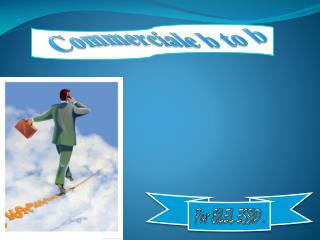 Commerciale b to b