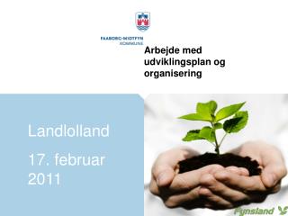 Arbejde med udviklingsplan og organisering