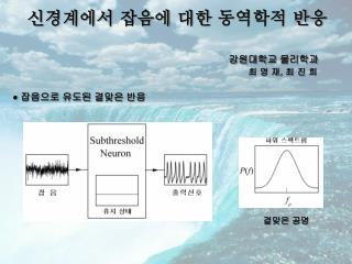 신경계에서 잡음에 대한 동역학적 반응