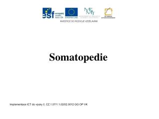 Somatopedie