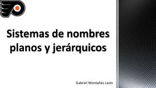 Sistemas de nombres planos y jerárquicos