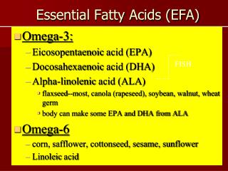 Essential Fatty Acids (EFA)