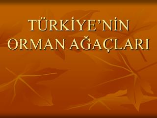 TÜRKİYE’NİN ORMAN AĞAÇLARI