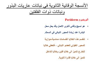 الأنسجة الوقائية الثانوية في نباتات عاريات البذور ونباتات ذوات الفلقتين