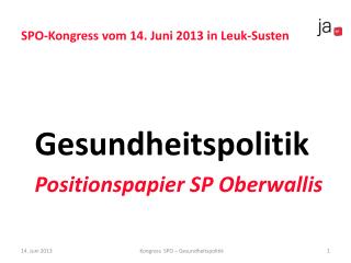 SPO-Kongress vom 14. Juni 2013 in Leuk-Susten