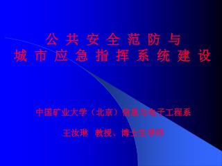 公 共 安 全 范 防 与 城 市 应 急 指 挥 系 统 建 设 中国矿业大学（北京）信息与电子工程系 王汝琳 教授、博士生导师