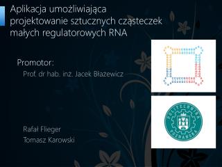 Aplikacja umożliwiająca projektowanie sztucznych cząsteczek małych regulatorowych RNA