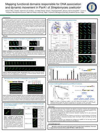 Mapping functional domains responsible for DNA association