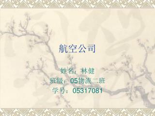 航空公司