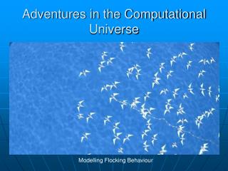 Adventures in the Computational Universe