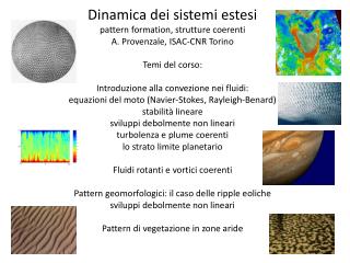 Esempio: la convezione di Rayleigh-Benard