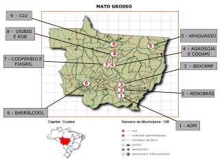 MATO GROSSO