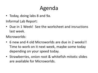 Agenda