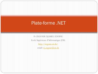 Plate-forme .NET