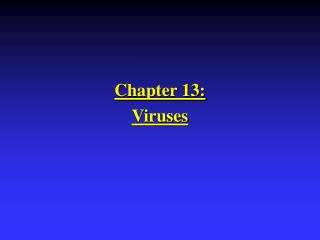Chapter 13: Viruses