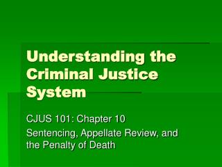 Understanding the Criminal Justice System