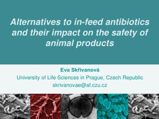 Alternatives to in-feed antibiotics and their impact on the safety of animal products