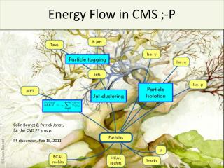 Energy Flow in CMS ;-P