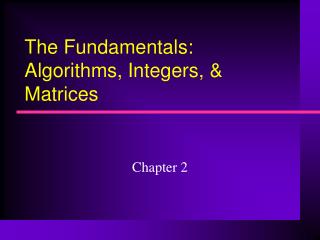 The Fundamentals: Algorithms, Integers, &amp; Matrices