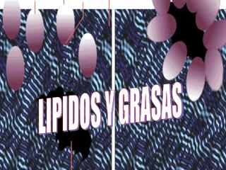 LIPIDOS Y GRASAS