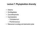 Lecture 7: Phytoplankton diversity Diatoms Dinoflagellates Coccolithophorids Cyanobacteria Trichodesmium Prochlorococcu