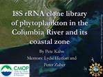 18S rRNA clone library of phytoplankton in the Columbia River and its coastal zone