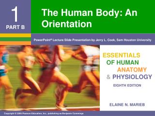 The Human Body: An Orientation