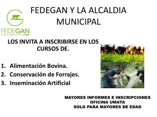 FEDEGAN Y LA ALCALDIA MUNICIPAL