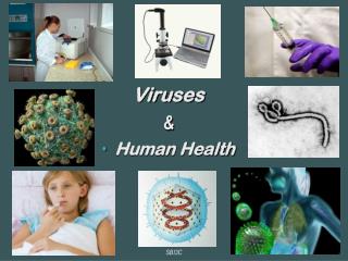 Viruses &amp; Human Health ‏