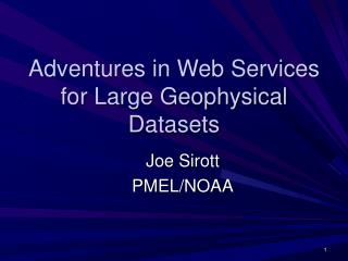 Adventures in Web Services for Large Geophysical Datasets