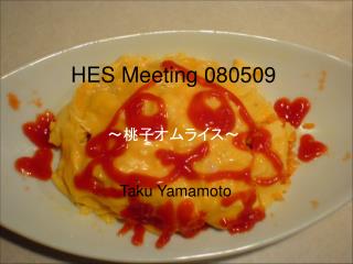HES Meeting 080509 ～桃子オムライス～ Taku Yamamoto