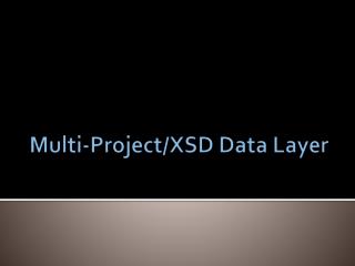 Multi-Project/XSD Data Layer