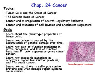 Chap. 24 Cancer