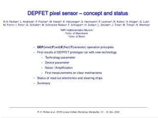 DEPFET pixel sensor – concept and status