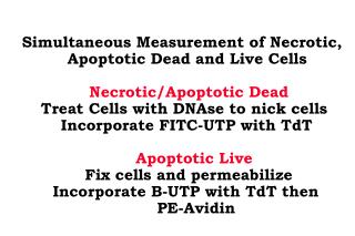 Simultaneous Measurement of Necrotic,