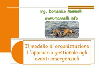 ing. Domenico Mannelli mannelli