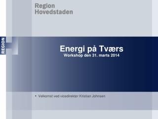 Energi på Tværs Workshop den 31. marts 2014