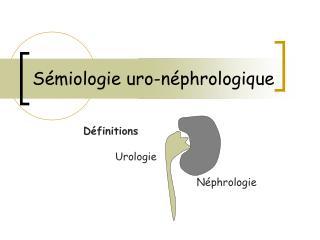 Sémiologie uro-néphrologique