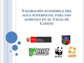 Valoración económica del agua superficial para uso agrícola en el Valle de Cañete