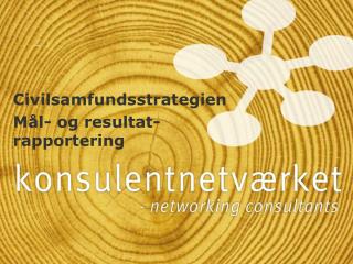 Civilsamfundsstrategien Mål- og resultat-rapportering