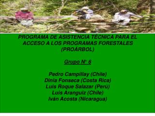 PROGRAMA DE ASISTENCIA TÉCNICA PARA EL ACCESO A LOS PROGRAMAS FORESTALES (PROÁRBOL) Grupo N° 6