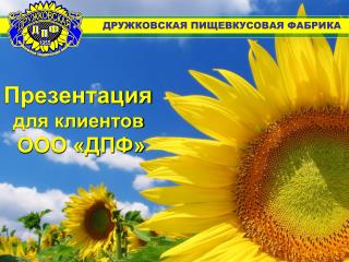 Презентация для клиентов ООО «ДПФ»