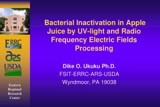 Bacterial Inactivation in Apple Juice by UV-light and Radio Frequency Electric Fields Processing