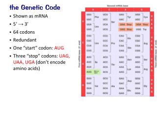 the Genetic Code