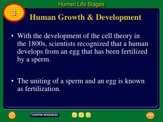 Human Growth &amp; Development