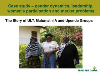 Case study – gender dynamics, leadership, women’s participation and market problems