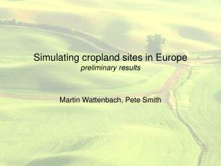 Simulating cropland sites in Europe preliminary results