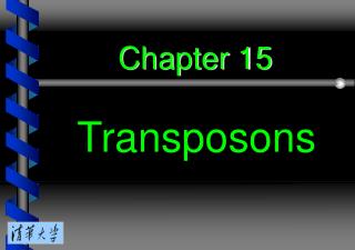 Chapter 15