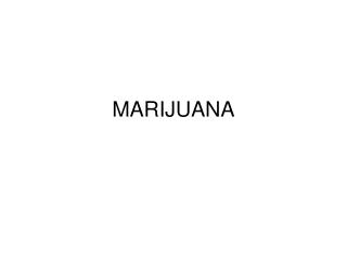 MARIJUANA