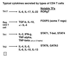 Typical cytokines secreted by types of CD4 T cells